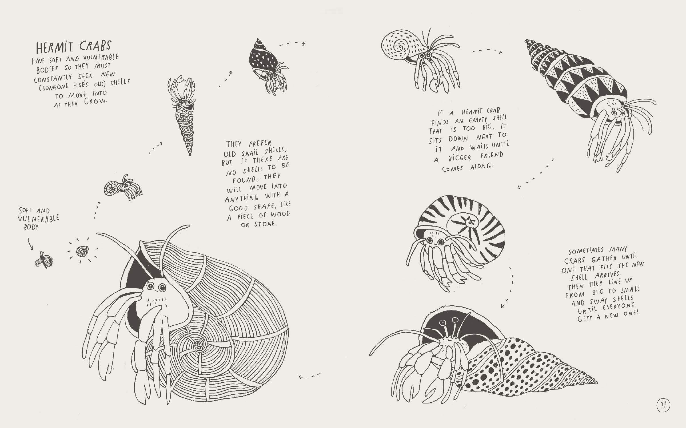 Amazing Facts About Baby Animals: An Illustrated Compendium - Image 3