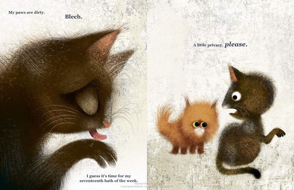 Cat Problems - Image 4
