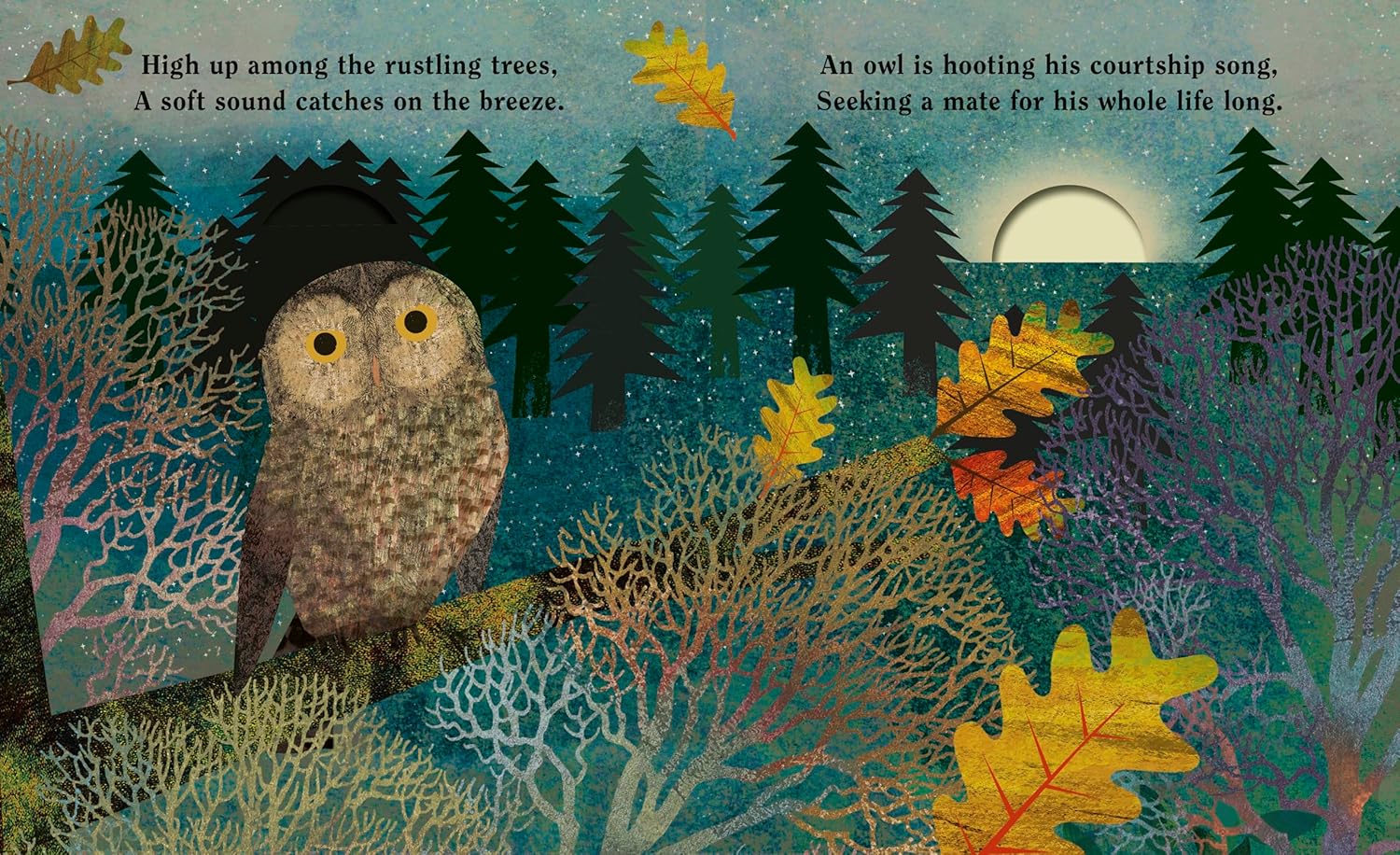 Family: A Peek-Through Picture Book - Image 4