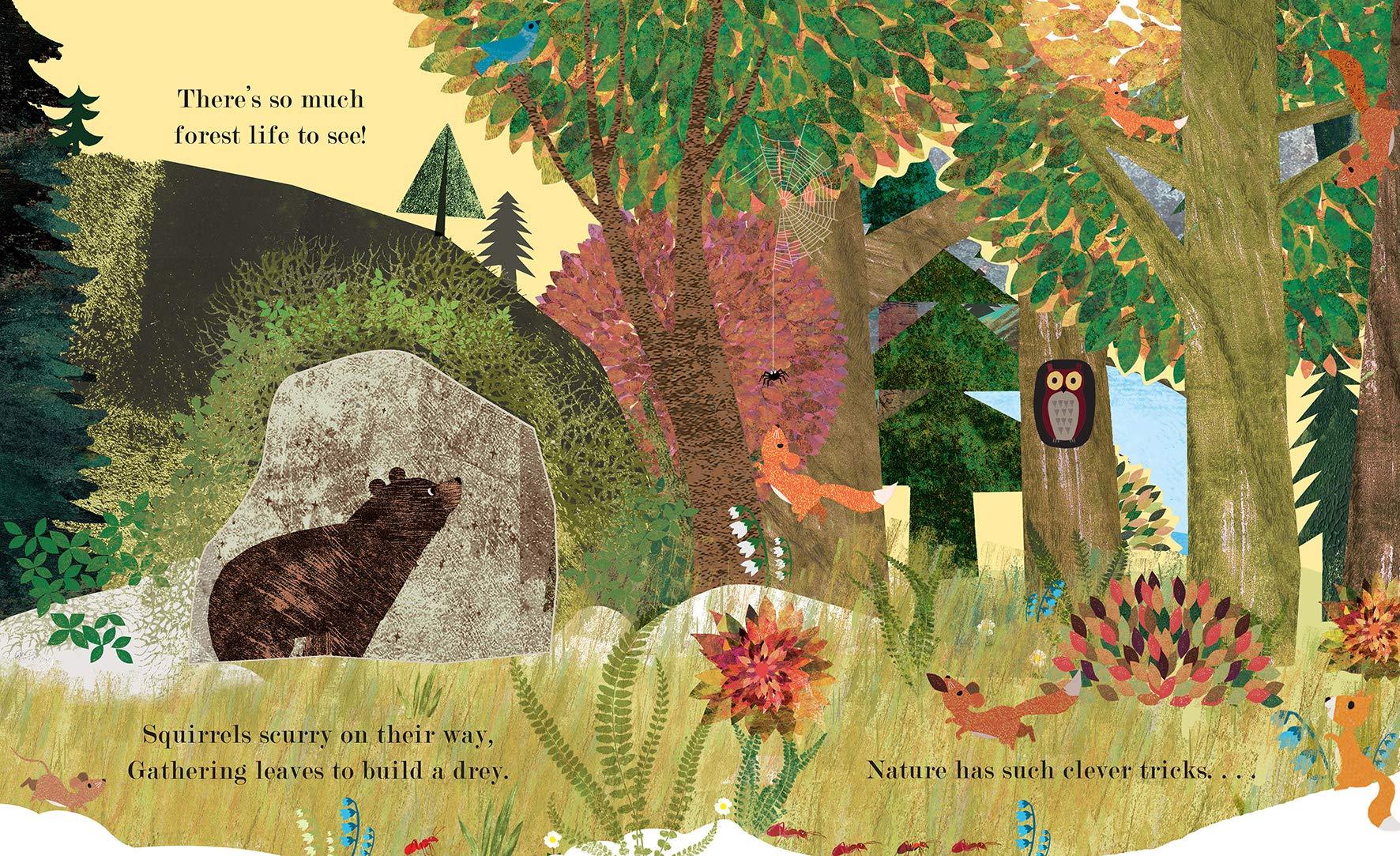 Home: A Peek-Through Picture Book - Image 3