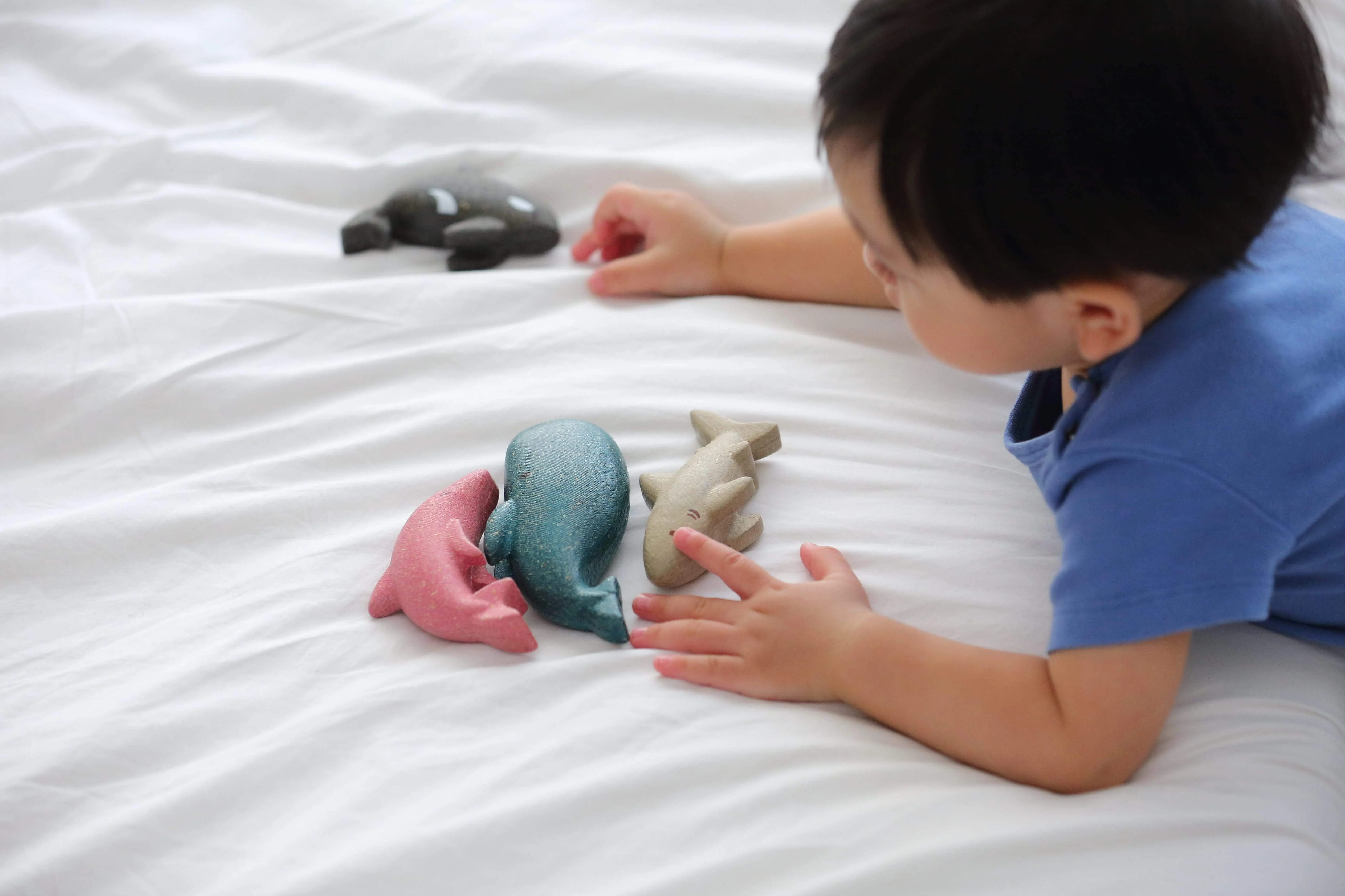 Plan Toys Sea Creatures (Single) - Image 5