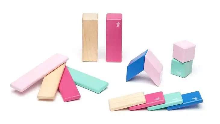 Tegu 14-Piece Magnetic Wooden Block Set - Image 2